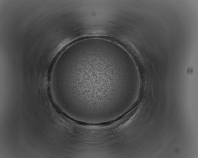X0000096641457200802121059