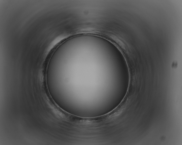 X0000096641458200802121059