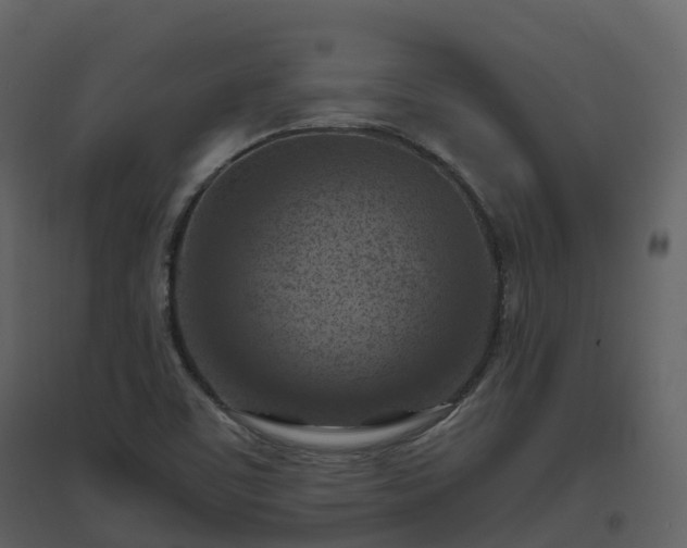 X0000096641459200802121059