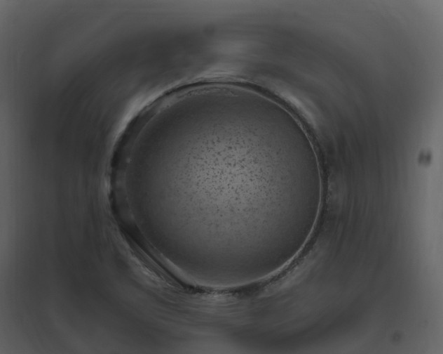 X0000096641461200802121059