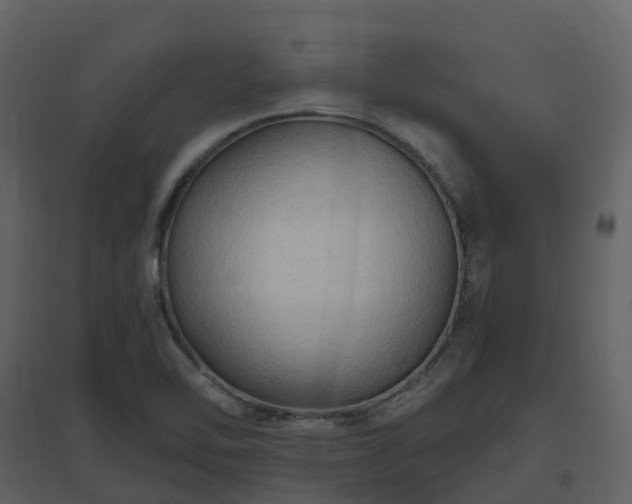 X0000096641462200802121059