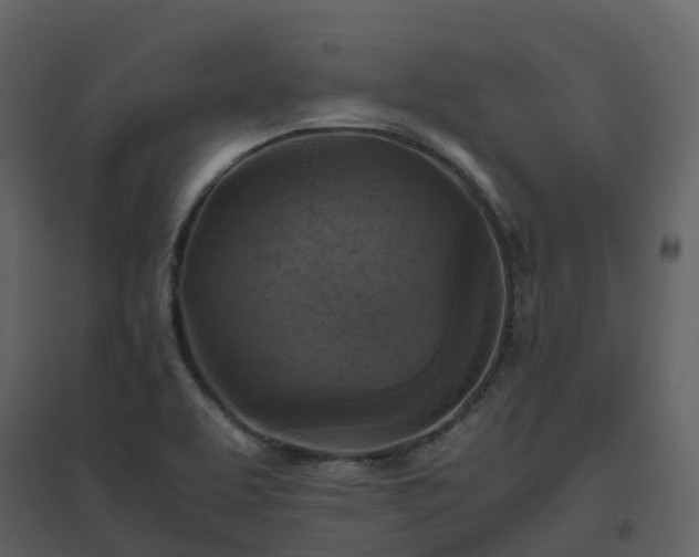 X0000096641463200802121059