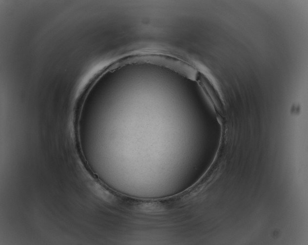 X0000096641464200802121059