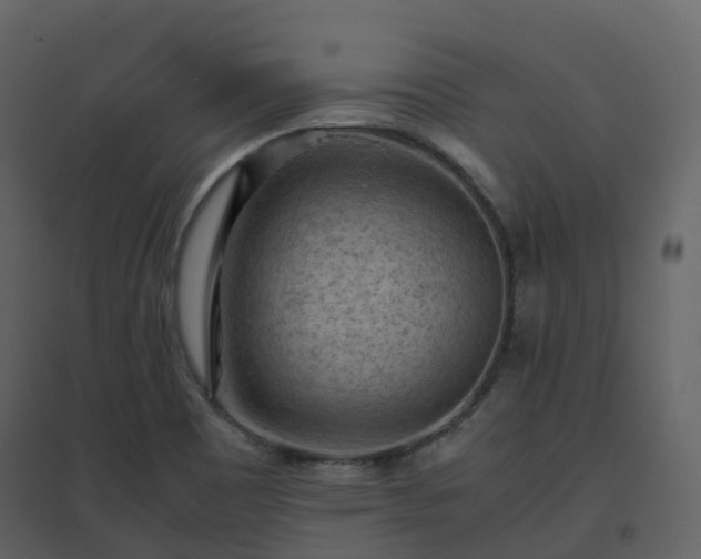X0000096641465200802121059