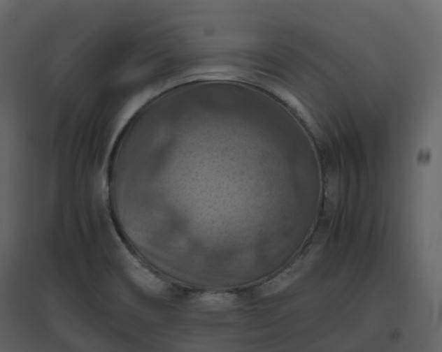X0000096641466200802121059