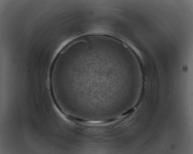 X0000096641468200802121059