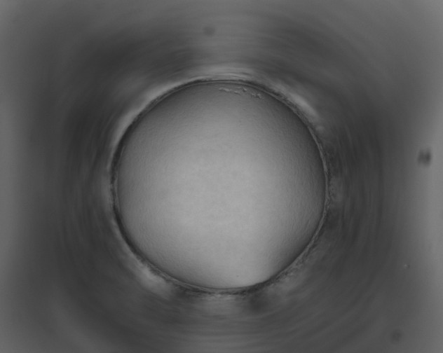 X0000096641470200802121059