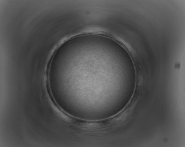 X0000096641471200802121059