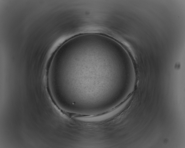 X0000096641472200802121059