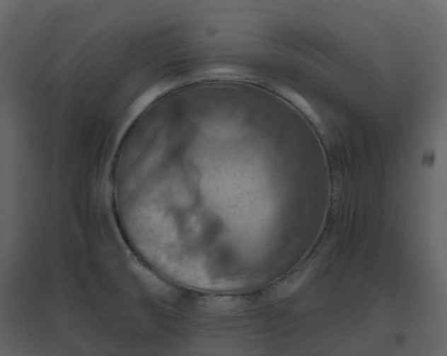 X0000096641474200802121059