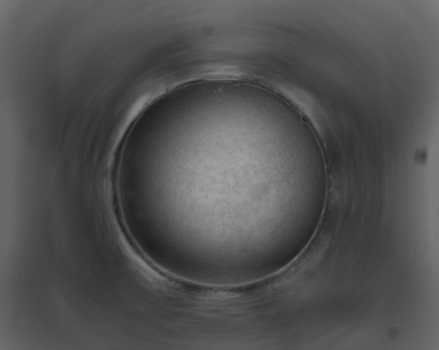 X0000096641475200802121059