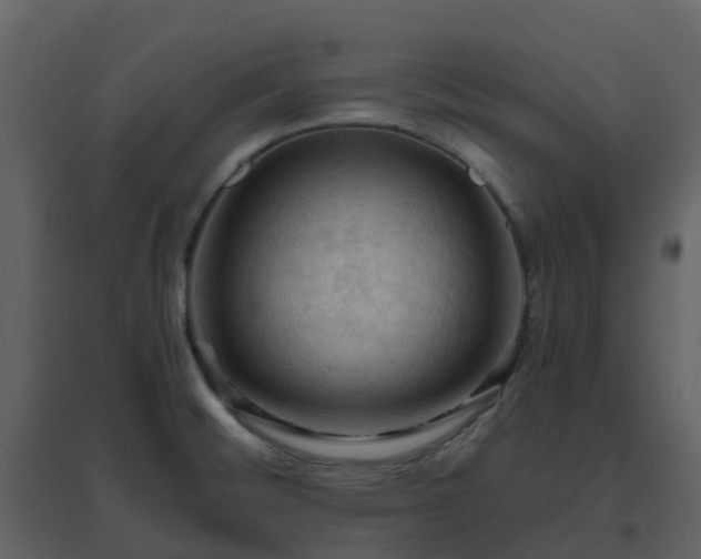 X0000096641476200802121059