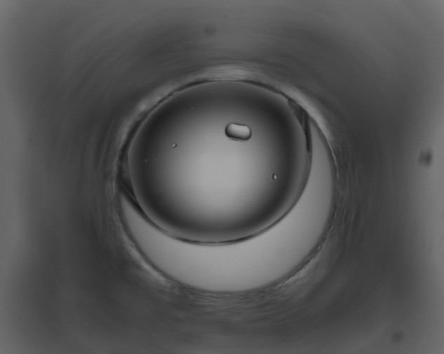 X0000096641477200802121058