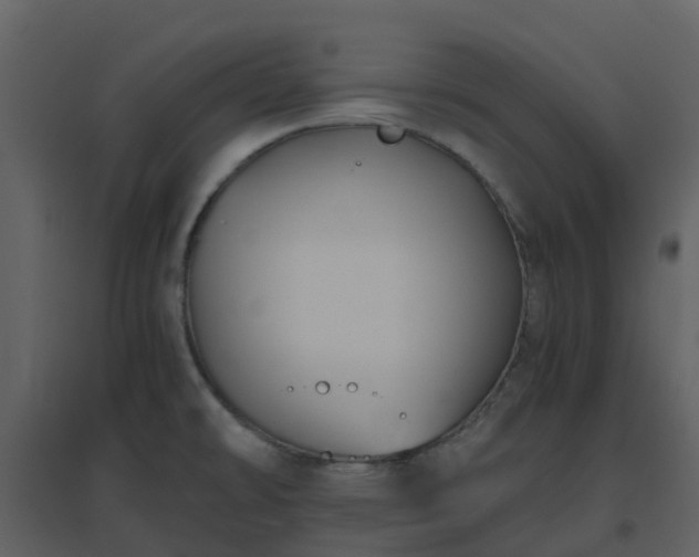 X0000096641478200802121058