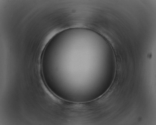 X0000096641479200802121058