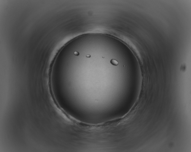 X0000096641480200802121058