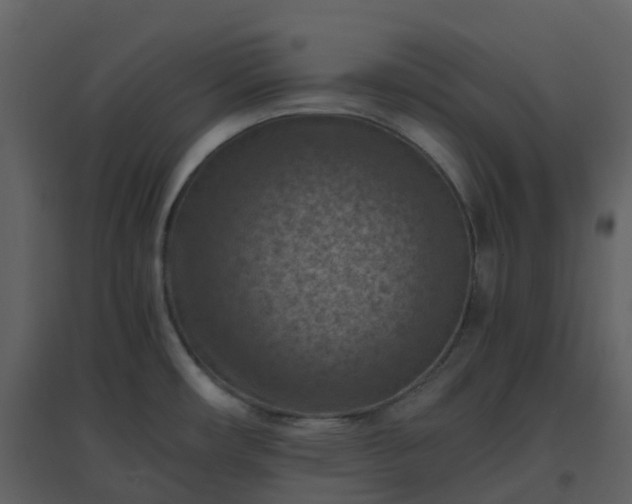 X0000096641482200802121058