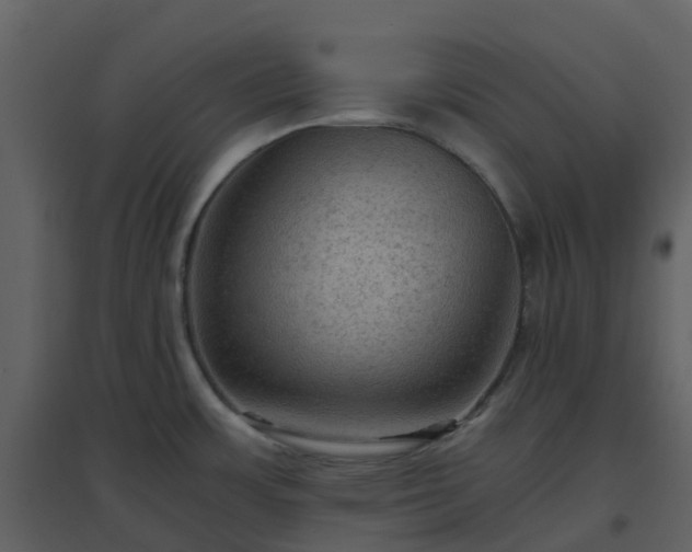 X0000096641483200802121058