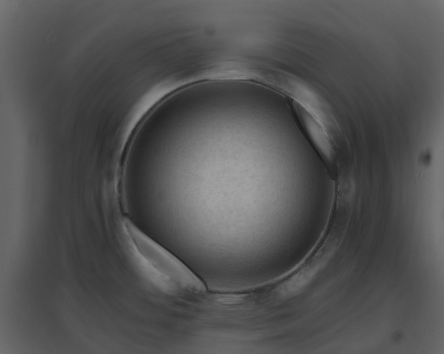 X0000096641484200802121058