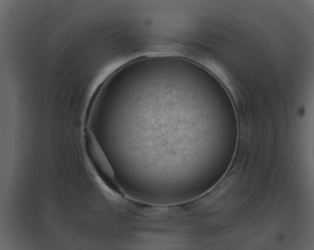 X0000096641485200802121058