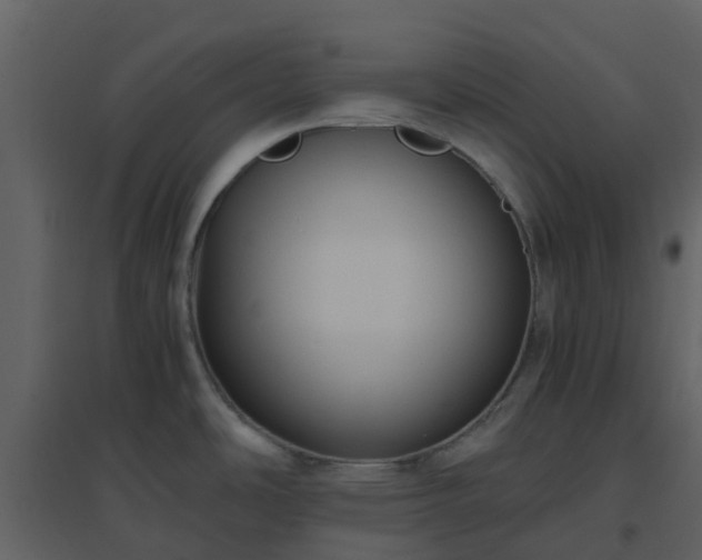 X0000096641486200802121058