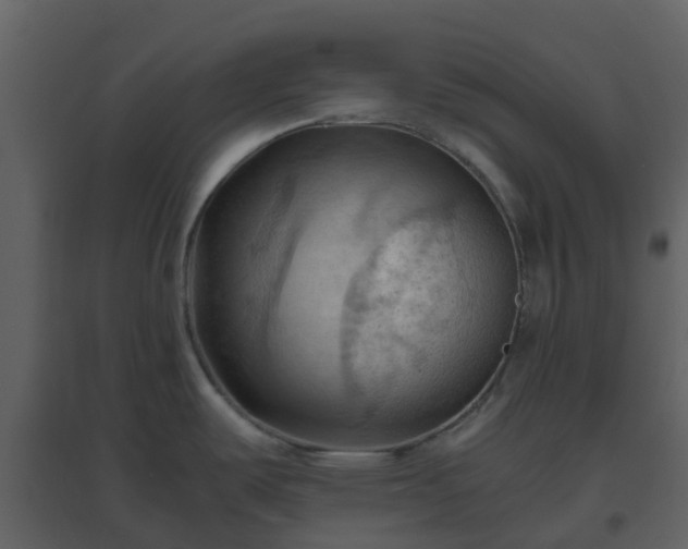 X0000096641487200802121058