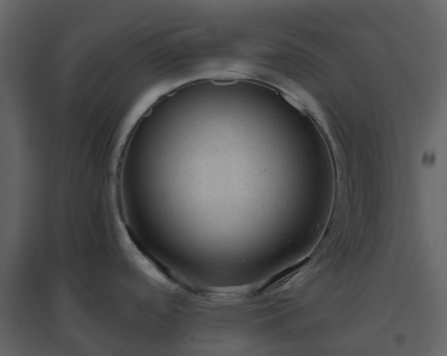 X0000096641488200802121058