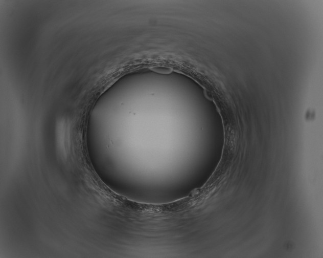 X0000096641489200802121058