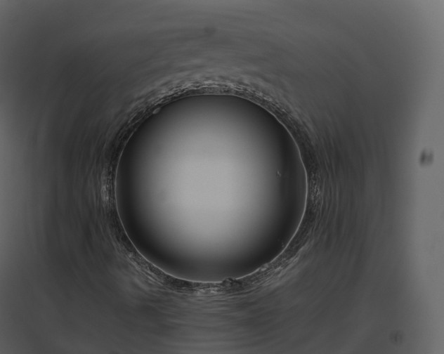 X0000096641490200802121058