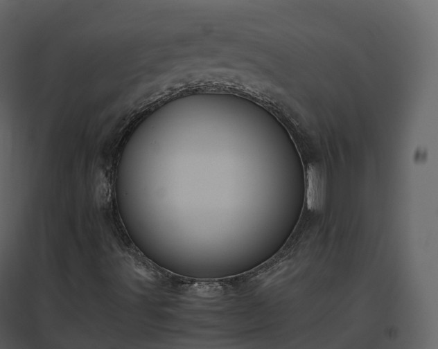 X0000096641491200802121058