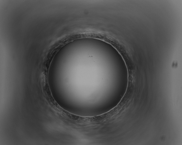 X0000096641493200802121058
