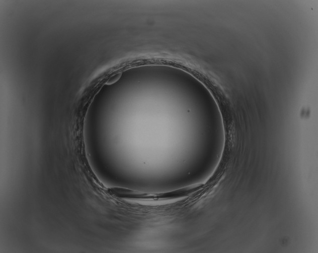 X0000096641494200802121058