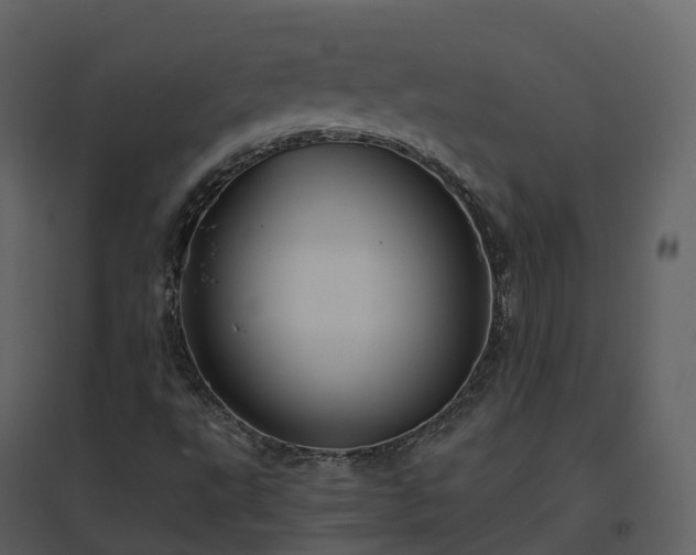 X0000096641495200802121058