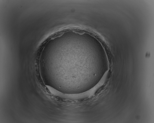 X0000096641496200802121058