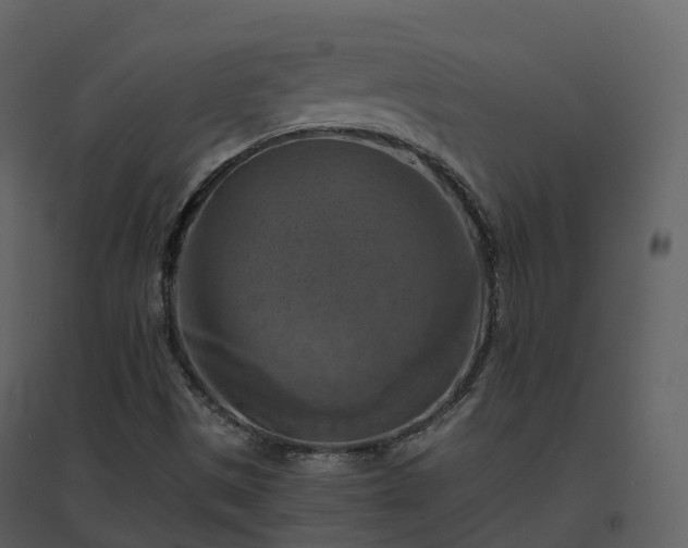 X0000096641497200802121058