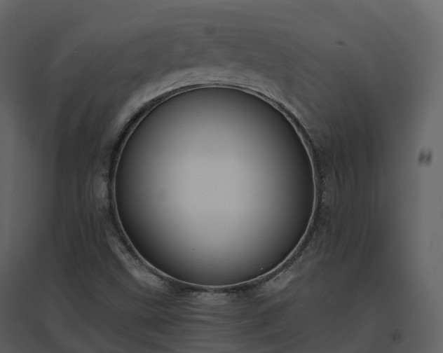 X0000096641499200802121058