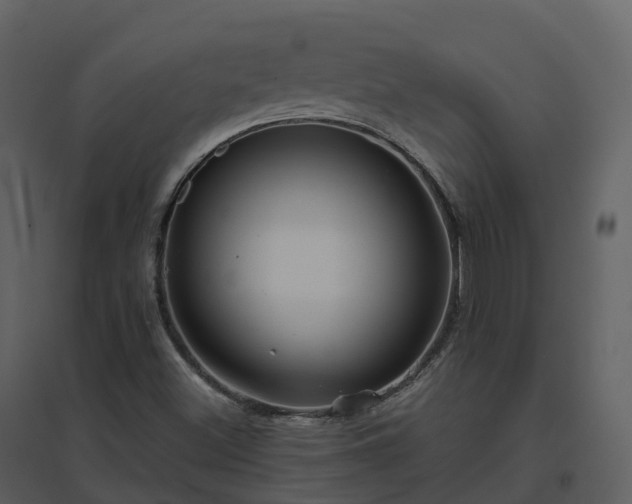 X0000096641500200802121058