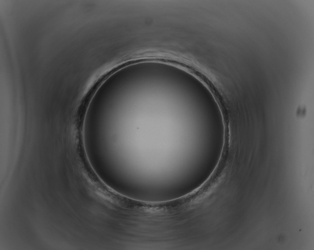 X0000096641501200802121058