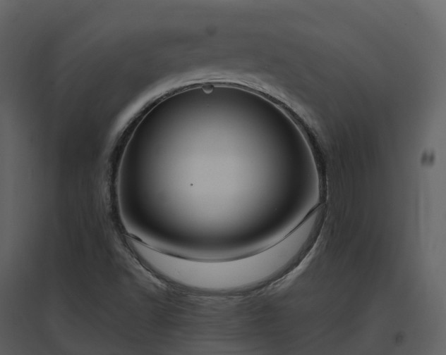 X0000096641502200802121058