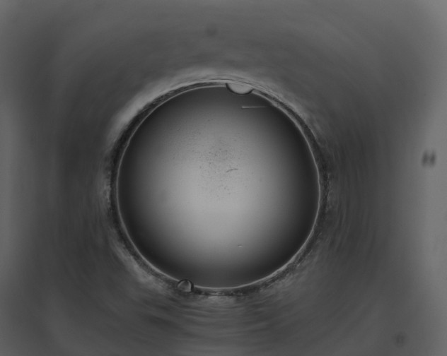 X0000096641503200802121058