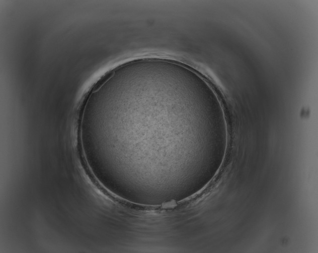 X0000096641504200802121058