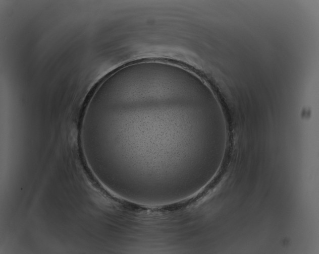 X0000096641505200802121058