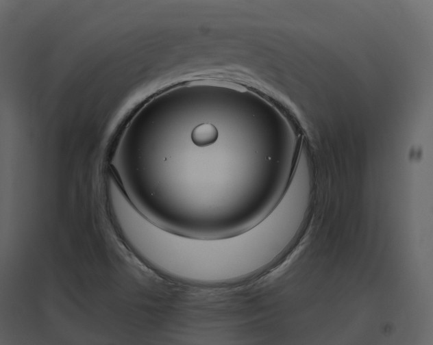 X0000096641506200802121058