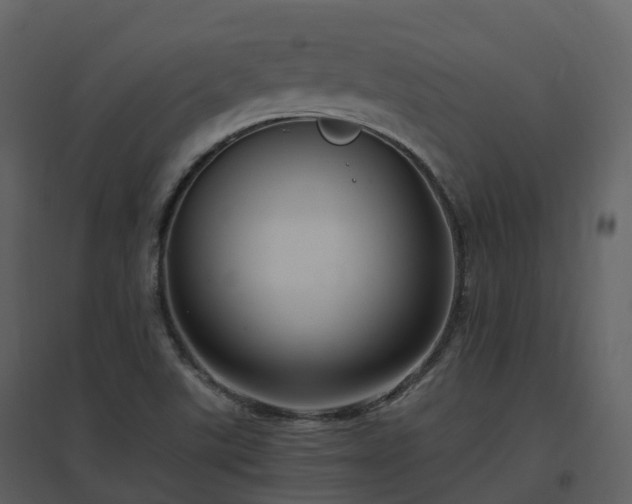 X0000096641507200802121058