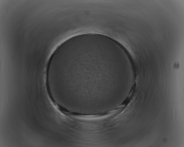 X0000096641508200802121058