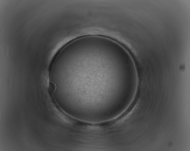 X0000096641509200802121058