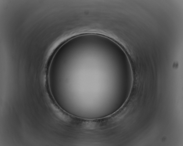 X0000096641511200802121058