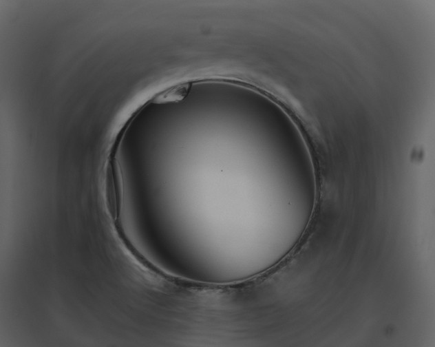 X0000096641512200802121058