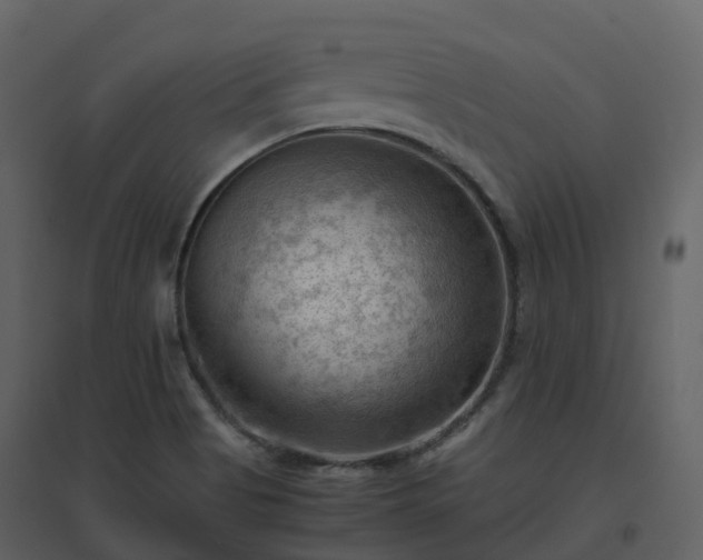 X0000096641513200802121058