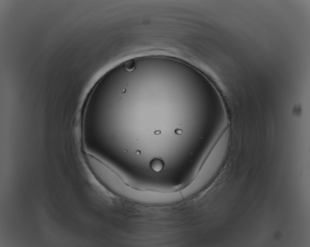 X0000096641516200802121058